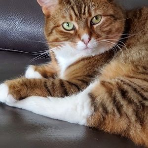 Meet your Posher, Lori